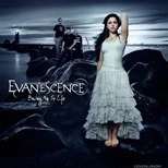 Evanescence - Bring Me To Life