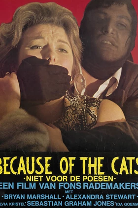 Because of the Cats