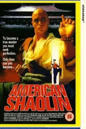 American Shaolin: King of the Kickboxers II