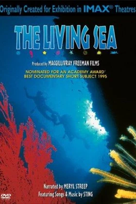 IMAX - The living sea