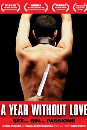 A Year Without Love