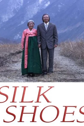 Silk Shoes