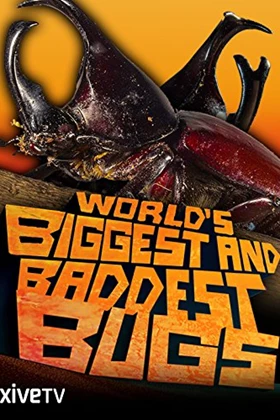World's Biggest and Baddest Bugs