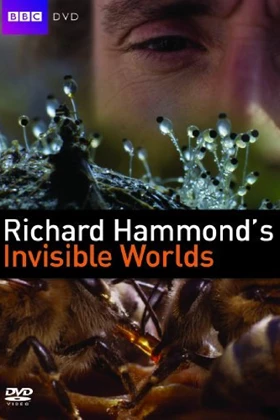 BBC: Richard Hammond's Invisible Worlds - First Season