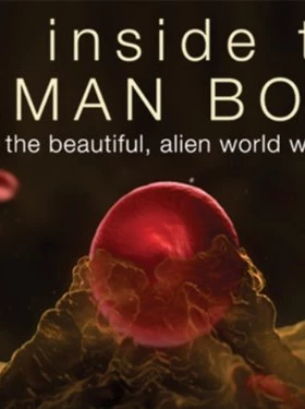 BBC: Inside the Human Body (2011)