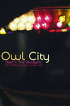 Owl City - Deer In The Headlights (2011)