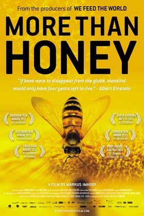 More than Honey