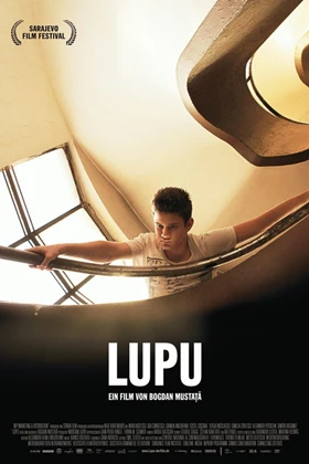 LUPUS