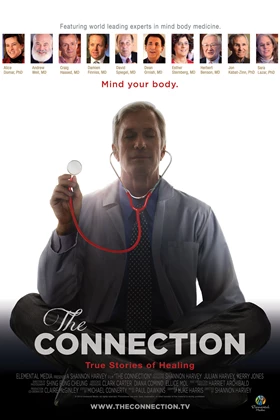 The Connection