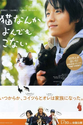 Cats Don't Come When You Call