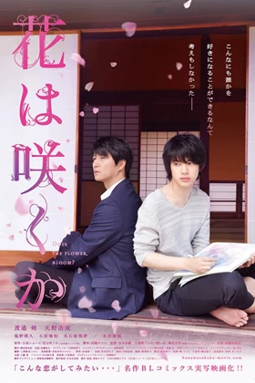 Does The Flower Bloom (2018)