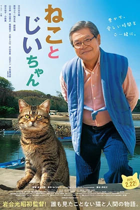 The Islands Of Cat
