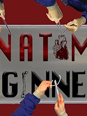 Anatomy for Beginners - First Season