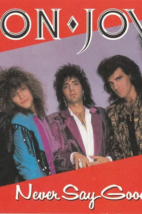 Bon Jovi - Never Say Goodbye (2014)